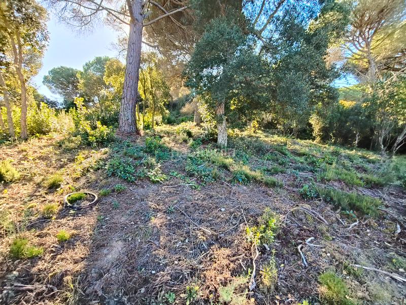Foto c2adb3fe-8d4d-42c6-9ec2-8d6793746e45. Terreny residencial a Lloret Residencial - Montlloret Lloret de Mar