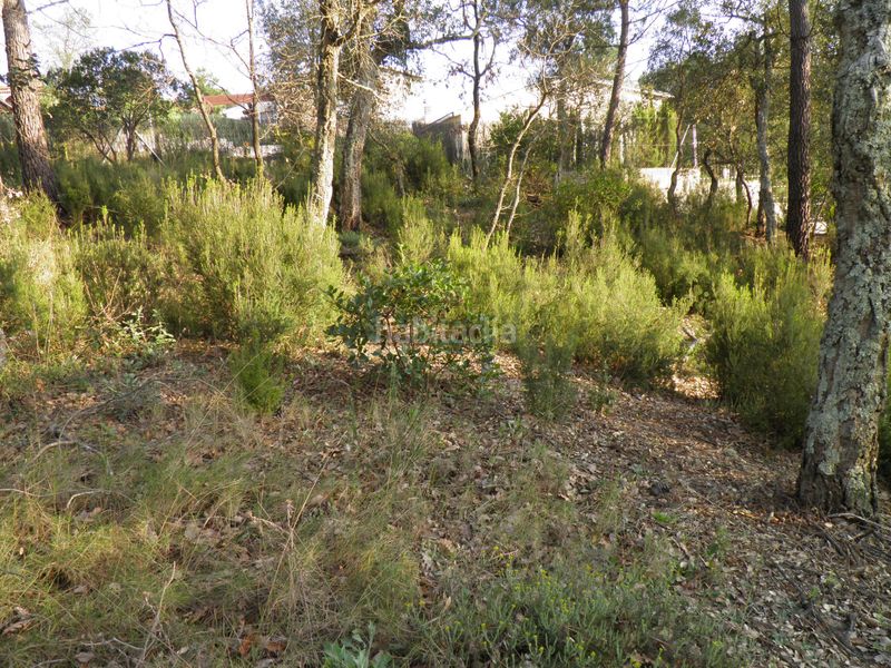 Foto e43aa28a-5208-4fea-a840-cdea0951edfb. Terreny residencial a Terrafortuna - Puig Ventós Vidreres