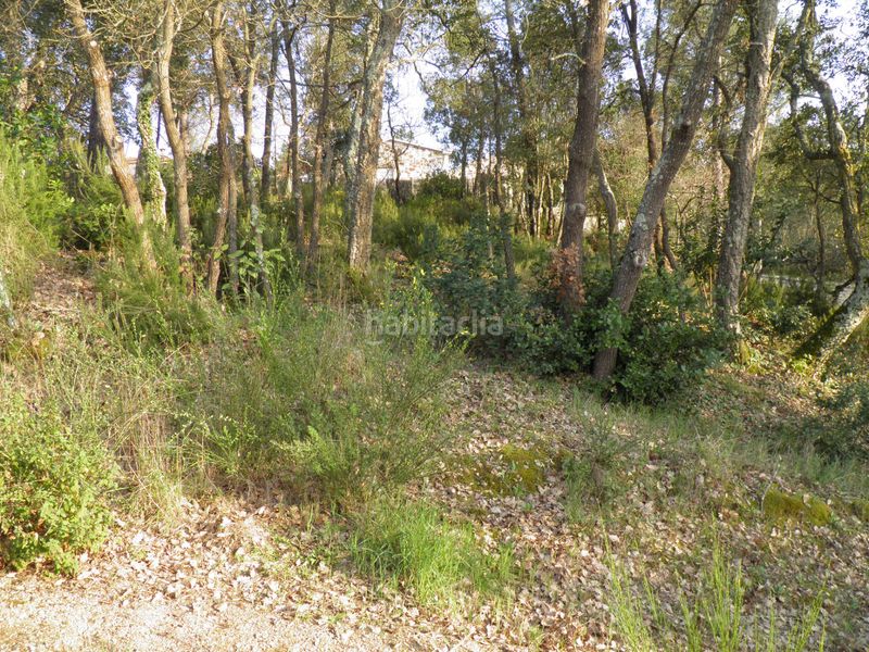 Foto f0a218ae-7654-44a7-a90a-125bbb1e9022. Terreny residencial a Terrafortuna - Puig Ventós Vidreres