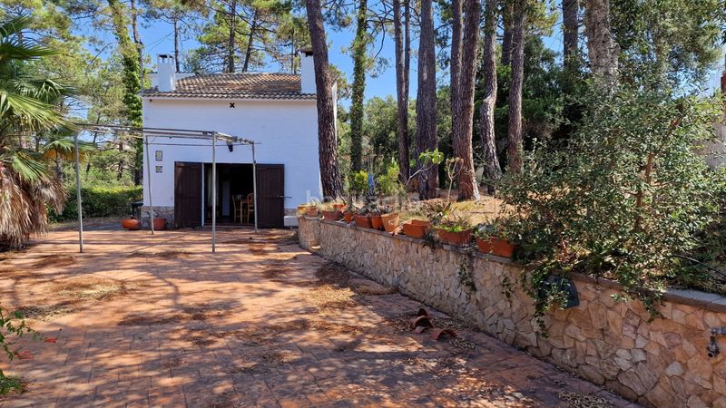 Foto 6962a9f1-80c8-476e-90ea-f0cd622397a8. Casa a carrer d'empúries 26 a Lloret Blau - La Creu de Lloret Lloret de Mar