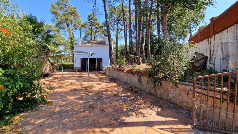 Foto eac3d6ec-374f-4ae7-a526-7d57b01689c8. Casa a carrer d'empúries 26 a Lloret Blau - La Creu de Lloret Lloret de Mar