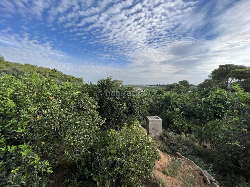 Foto f314f3d7-f279-4d1f-9dfa-48ca15bd2f36. Chalet mit parking in Urbanitzacions i Pedanies Nord Alzira