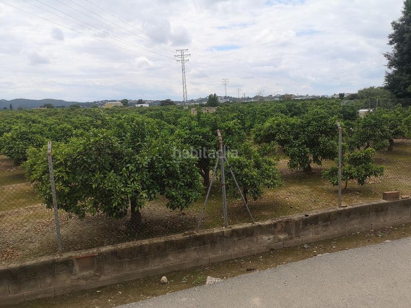 Foto 90e9211d-de19-4465-af43-58b764192de9. Terreno residenziale in Urbanitzacions i Pedanies Nord Alzira