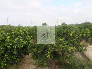 Fondo rustico in la coma