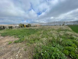 Terreny residencial a Partida de la figuera 49. Huerto en mollerussa