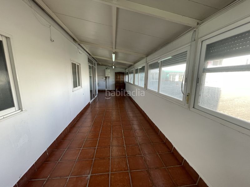 Foto 64c4df03-ce3c-44c3-a89b-c99ee97fd5e1. Pis a de la pau 15 a Mollerussa