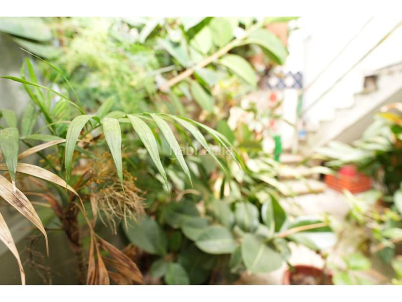 Foto 5c4b28ef-b410-4169-bf27-76d3e78e407d. Fondo rustico in Vinyets-Molí Vell Sant Boi de Llobregat