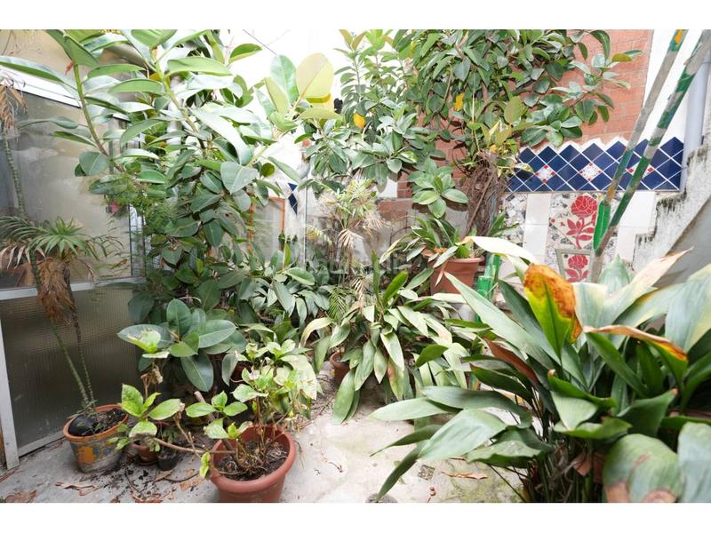 Foto bf623365-e33e-4ec7-81a7-13b6cdbe834e. Fondo rustico in Vinyets-Molí Vell Sant Boi de Llobregat