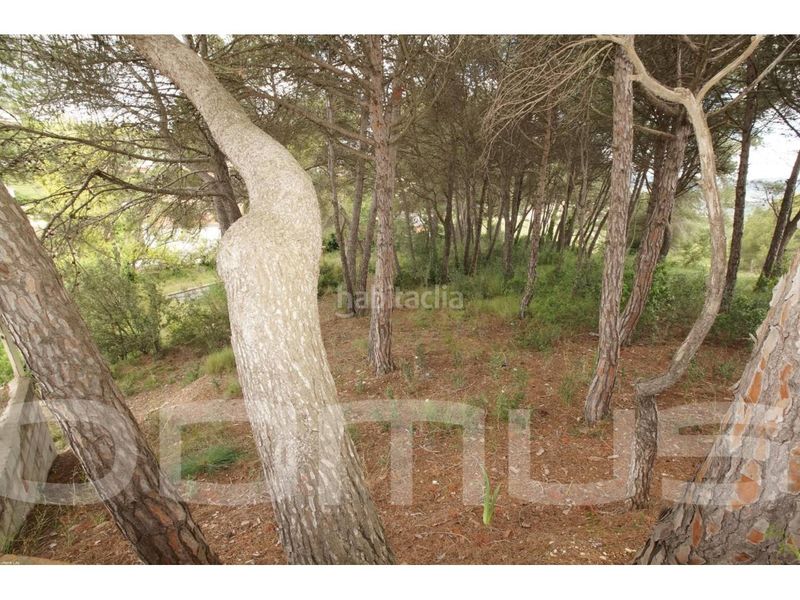 Foto 20530cf5-b7a9-40b2-a25b-3b6a33b4b0db. Masia amb aparcament a Piera