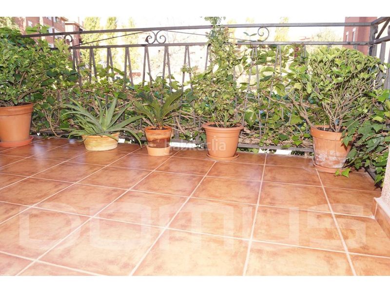 Foto ea989eba-3ac5-4f1c-904a-ce4e7d51383d. Casa a Els Avets-Can Serrafossà-Ximelis Rubí