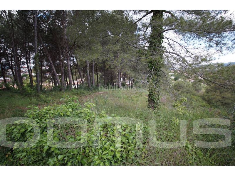 Foto b2fcff2a-0769-4cb9-9bb9-68ef4493fc86. Finca rústica a Piera