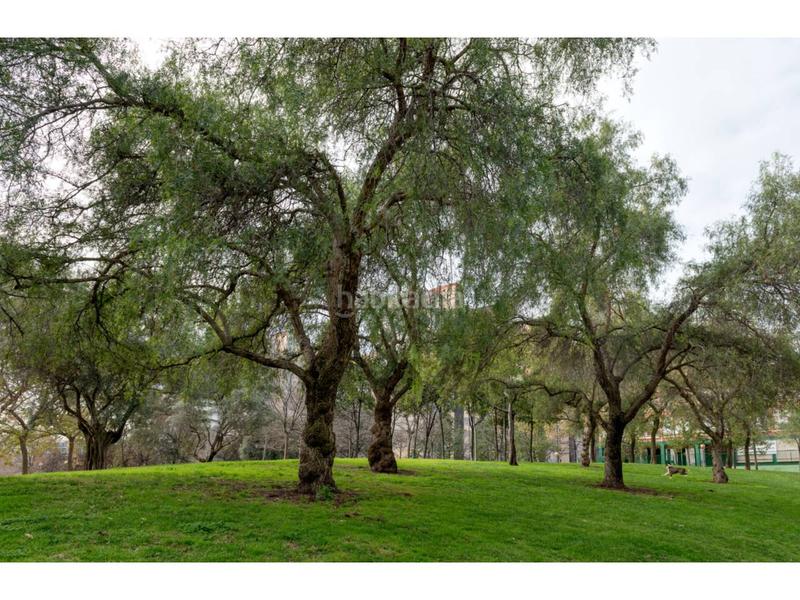 Foto 17e02d65-2490-4209-8528-5cfa7066f99c. Piso venta de piso en lhospitalet de llobregat en Hospitalet de Llobregat (L´)