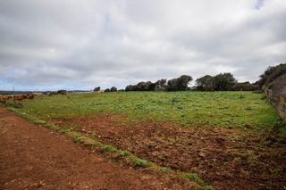 Terreno residenziale in Cala Morell. Terreno rústico situado a 500 m al este de ciutadella. consta de