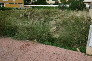 Terreno residenziale in Ciutadella. Parcela edificable en ciutadella