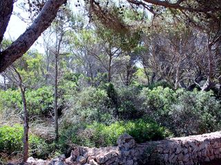 Terreno residenziale in Cala Morell. Solar en cala morell