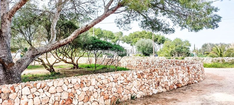 Foto 59c4e083-81db-47a4-be08-e603c4518bfd. Finca rústica a Ciutadella Ciutadella de Menorca