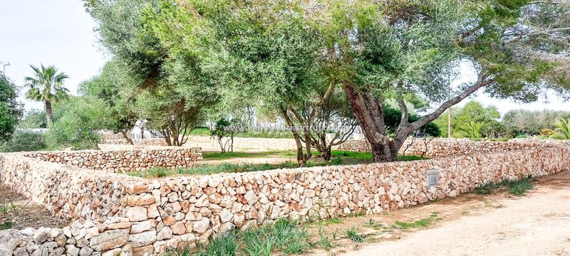 Foto 59d9087c-901d-4ce0-b20e-b0ccc42e8a7a. Finca rústica a Ciutadella Ciutadella de Menorca