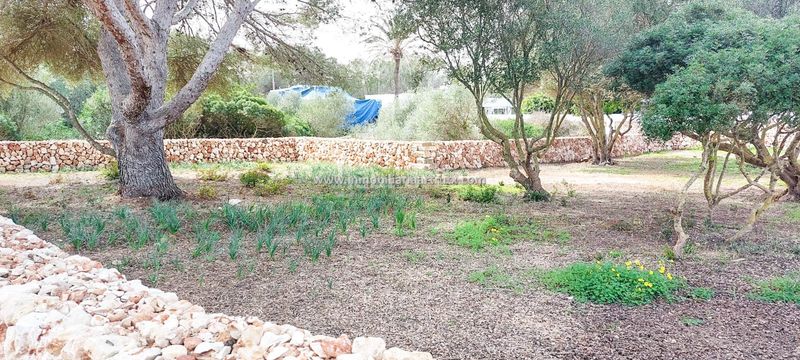 Foto a7cba046-5aea-490e-97f5-972c59632c0d. Finca rústica a Ciutadella Ciutadella de Menorca