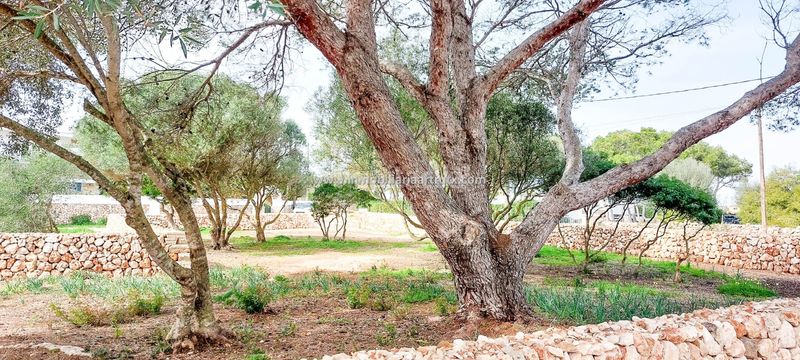 Foto af443e62-28a3-451e-b6d2-5787829d281e. Finca rústica a Ciutadella Ciutadella de Menorca