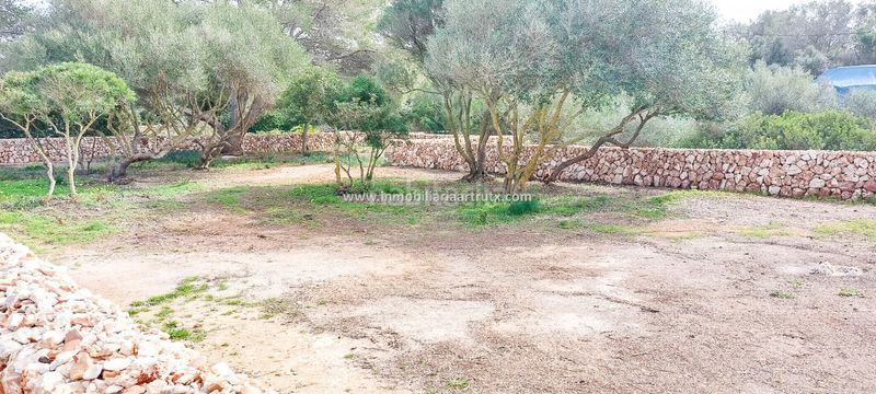 Foto be2d1874-971e-475f-b86c-5fc20065efc5. Finca rústica a Ciutadella Ciutadella de Menorca