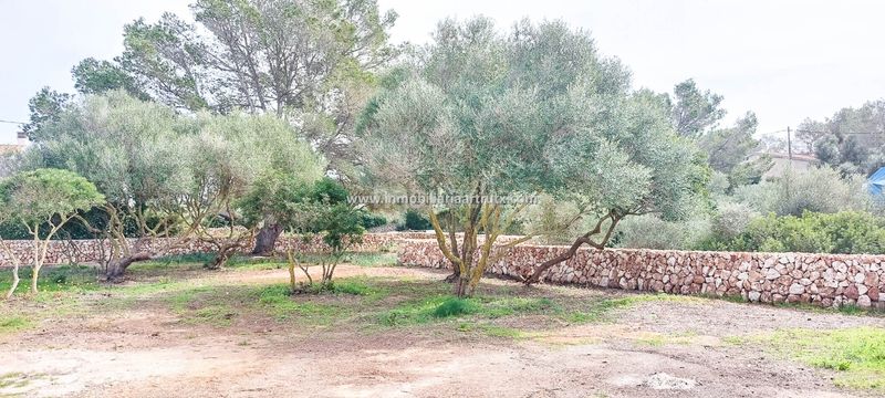Foto c18b01fa-50c2-464e-be43-57c530bc1c78. Finca rústica a Ciutadella Ciutadella de Menorca