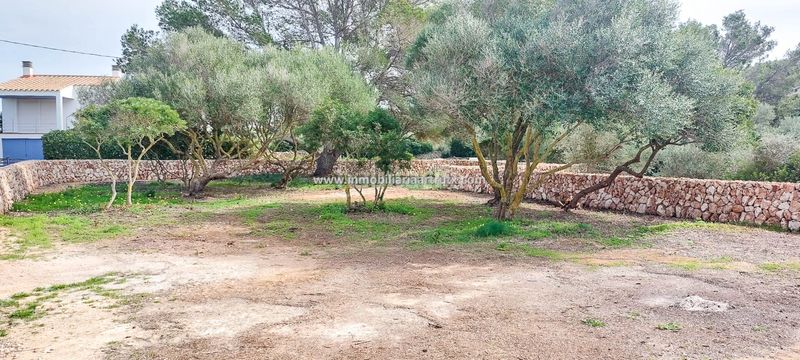 Foto c5a445e6-2989-441d-9b60-c0fcc71a9efc. Finca rústica a Ciutadella Ciutadella de Menorca