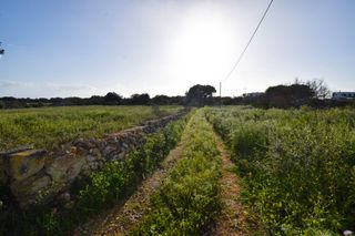 Solar industrial a Ciutadella. Solar edificable en ciutadella