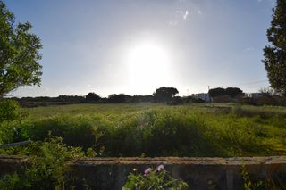 Solar industrial a Ciutadella. Solar edificable en ciutadella