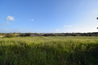 Solar industrial a Ciutadella. Solar edificable en ciutadella