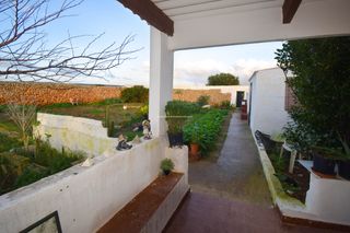 Masia a Ciutadella. Huerto en ciutadella