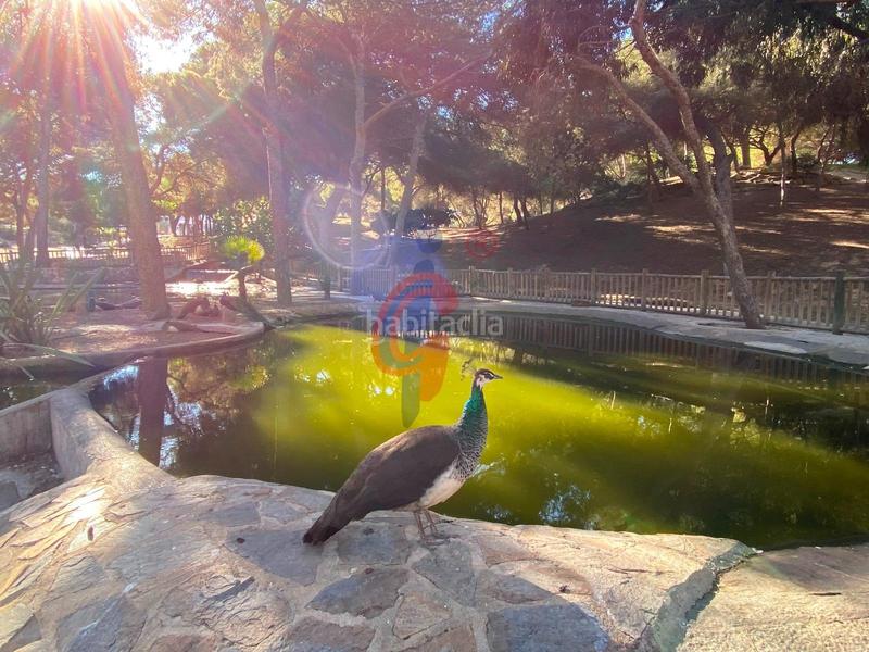 Foto d8d2f029-fd06-4980-b7fe-8a139207b617. Chalet en calle italia 11 increíble chalet a 150m de la playa moncayo con 5 dormitorios y vistas panorámicas! en Guardamar del Segura