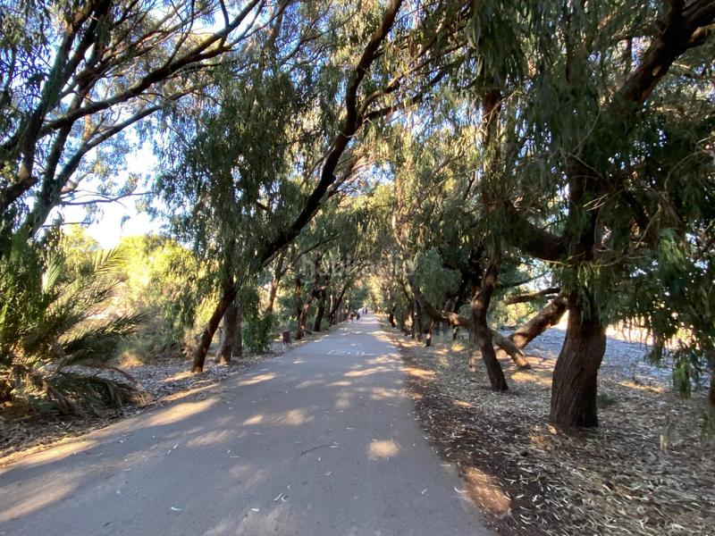 Foto b661a5c0-33d7-4c08-8e65-a01f0198b295. Estudi a calle azorín 2 a Guardamar Playa Guardamar del Segura
