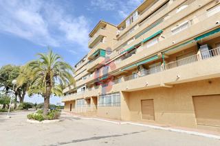 Apartament a Urbanizacion lomas del polo 7. Bajo para reformar de un dormitorio en venta en pinomar