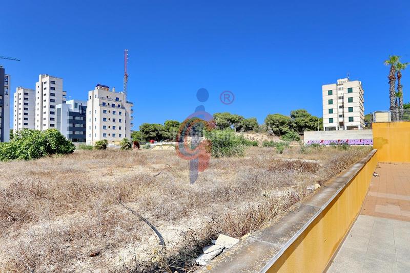 Foto 3ffd6876-f6ca-47f9-a4bd-723098667f1c. Local commercial dans avenida avenida del puerto 26 dans Guardamar del Segura