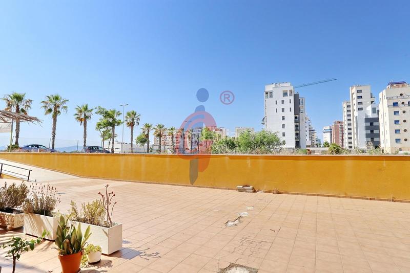 Foto 56f18c8d-029c-41d8-aa6d-66f318f3aab6. Local commercial dans avenida avenida del puerto 26 dans Guardamar del Segura