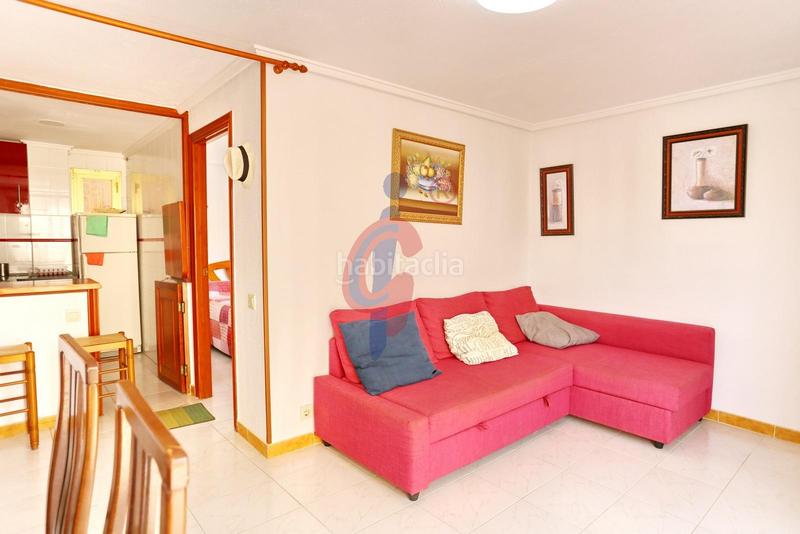 Foto 61f9fb47-d606-4bf8-9865-33dc95a93938. Piso en avenida cervantes 69 piso de un dormitorio a solo 150 metros del mar! en Guardamar del Segura