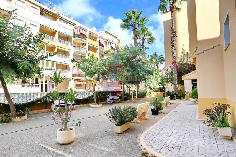 Foto 451f3ef1-9c77-4fb6-a9f8-490b5c86dbe4. Piccolo appartamento in calle ingeniero joaquín muñoz 9 in Guardamar del Segura