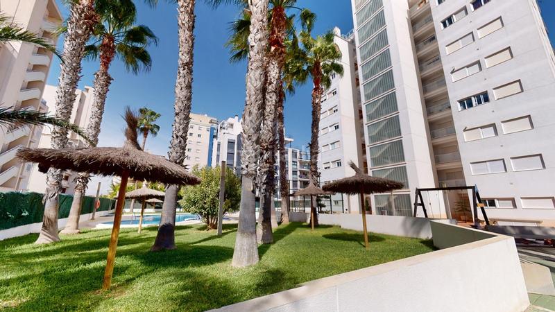 Foto 5a6fd87e-aa4b-41be-83d6-bf4993467da9. Piano terra in calle alcalde rosalino pérez hernández 31 in Guardamar del Segura