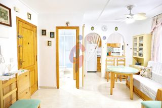 Estudi en Calle pintor antonio l�pez 4. Estudio interior en venta en torrecasa centro, guardamar del seg