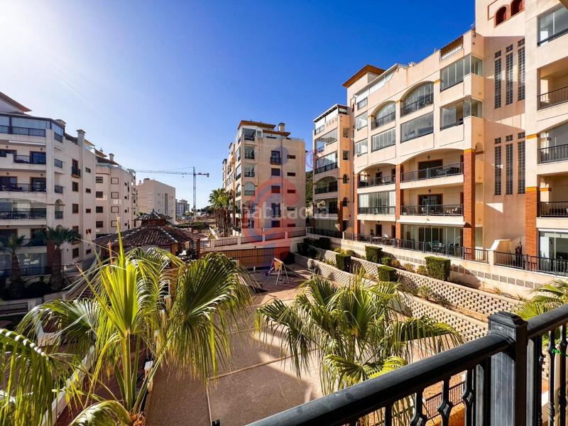 Foto fc0836d4-f46c-43f1-8087-272ea13ce855. Appartement dans calle callosa 39 dans Los Secanos Guardamar del Segura
