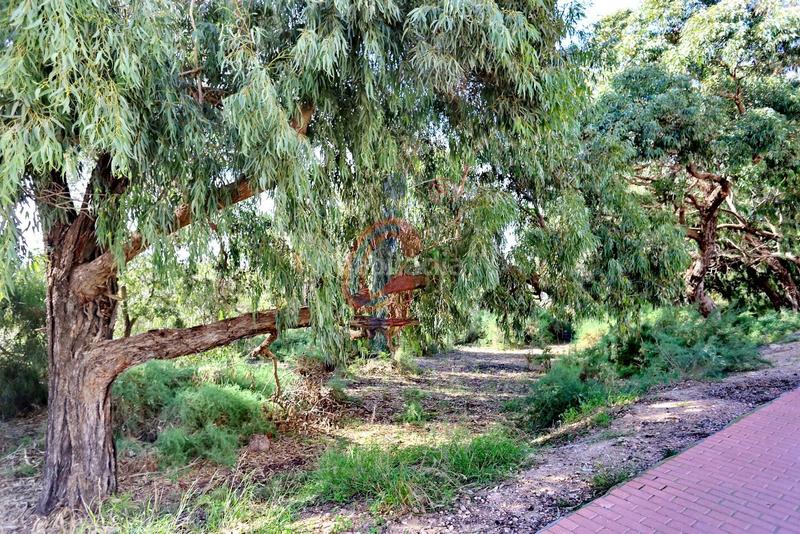 Foto 08196259-afdd-4d58-948e-47d4b8d054af. Attique dans calle médico basilio paredes 15 dans Puerto Deportivo Guardamar del Segura
