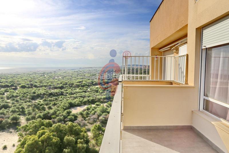 Foto 50ce84e1-43bd-41e1-a4b8-f4e90f3dd9a8. Attique dans calle médico basilio paredes 15 dans Puerto Deportivo Guardamar del Segura