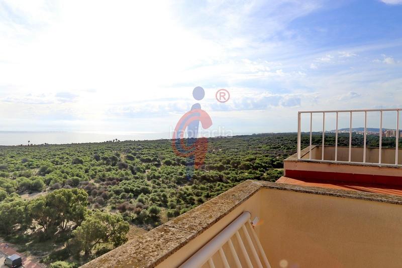 Foto 8dea955c-04f7-4767-b54b-0caf19e62492. Attique dans calle médico basilio paredes 15 dans Puerto Deportivo Guardamar del Segura