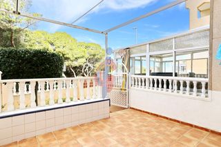 Planta baixa a Avenida cervantes  136. Planta baja en venta en buen estado en pinar en guardamar del se