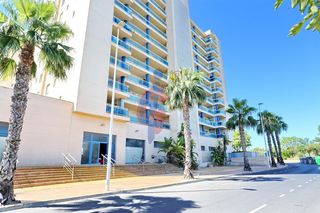 Local Comercial a Avenida avenida del puerto 1. Local en venta de 908 metros cuadrados, guardamar del segura