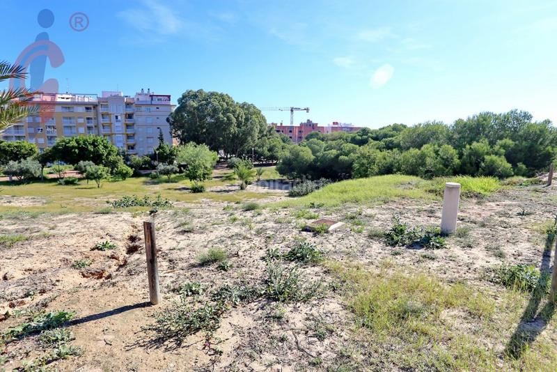 Foto dfe1acd0-1efb-472a-807d-503e821c6c5b. Geschäftsraum in calle pintor antonio lopez 13 in Guardamar del Segura