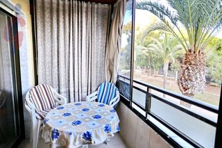 Piccolo appartamento in Pinos 62. ¡fantástico apartamento con 3 habitaciones en la avenida de los
