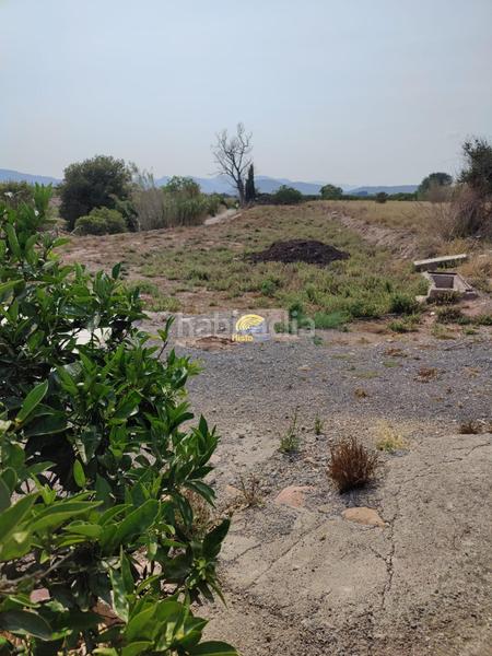 Foto f7b60f79-e46a-45f4-bcfd-31deca7a0192. Finca rústica tierra campa junto al rio en El Baladre Sagunt