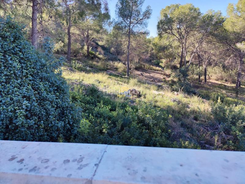 Foto 789107ae-8d3d-4889-bf77-8019b67a3f4c. Chalet  en Albalat dels Tarongers