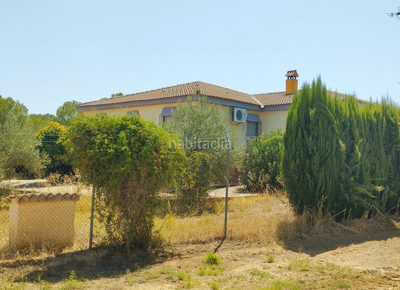 Foto 10c968d0-dd34-40dc-b171-a3771f184e2e. Masía casa de campo en entrepinos, . huelva. en Hinojos